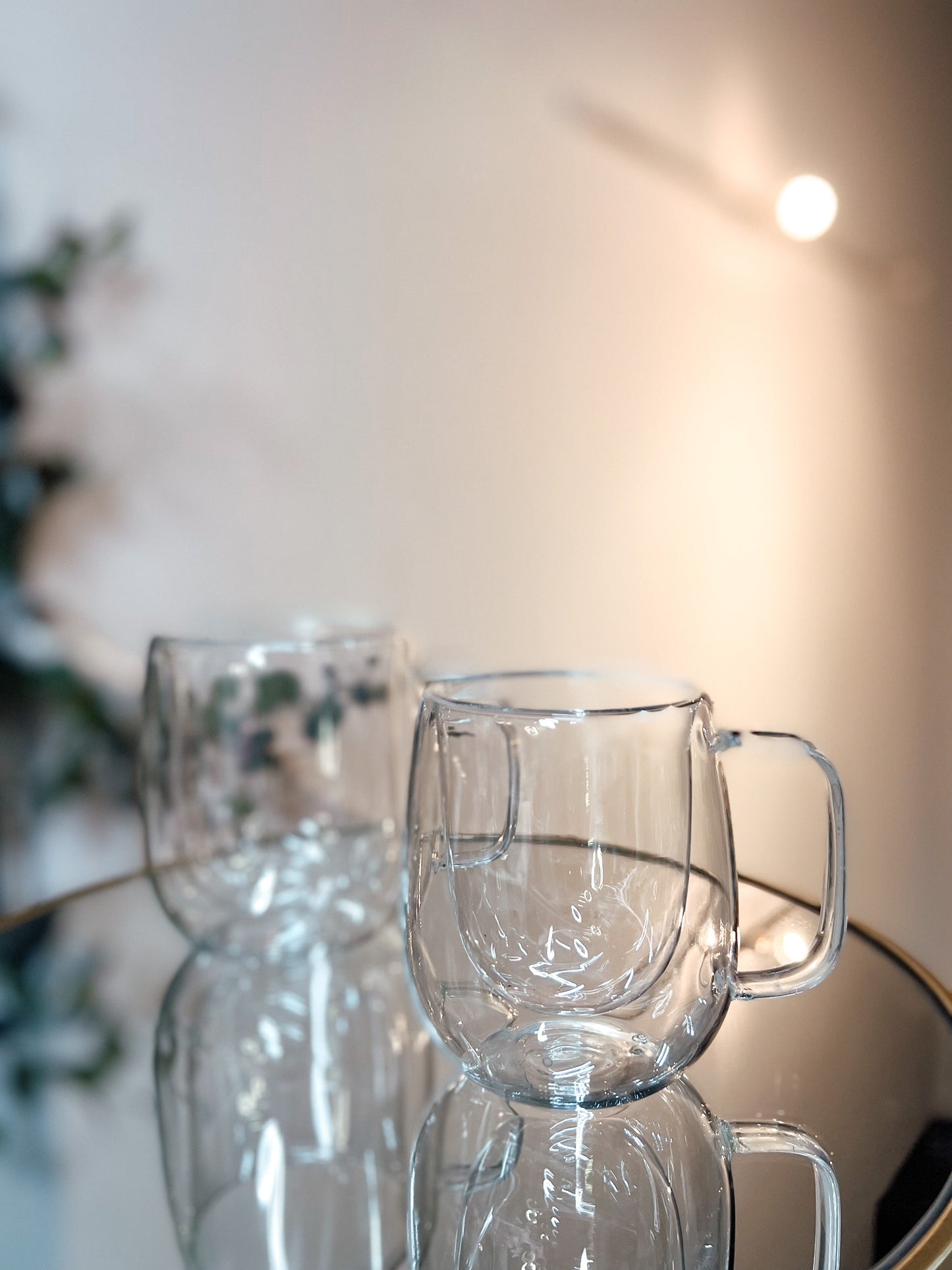 Double Wall Glass Coffee Mug