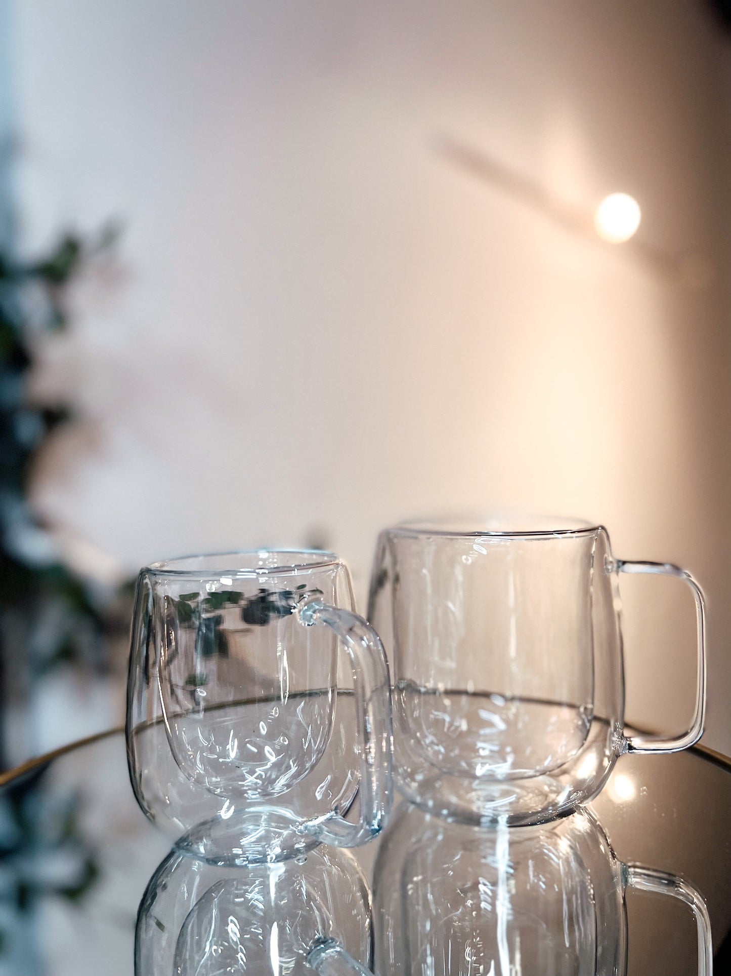 Double Wall Glass Coffee Mug